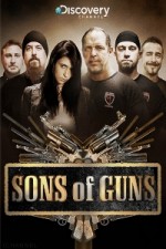 Watch Sons of Guns Alluc